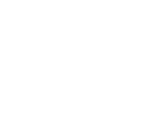 شعار شركة الخيول السريعة Express Horses